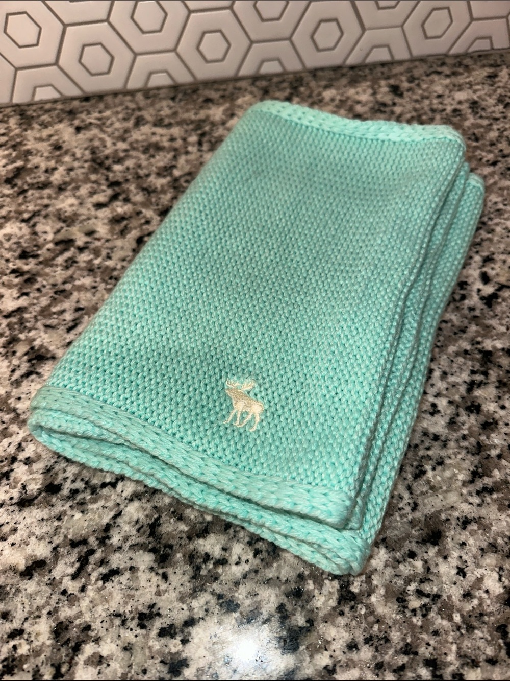 Abercrombie & Fitch Mint Knit Scarf with Moose Emblem